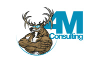 Custom Logo/Mascot Design for Consulting Company Custom Logo/Mascot Design for Consulting Company