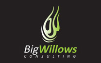 Logo Design for Consulting Company Logo Design for Consulting Company