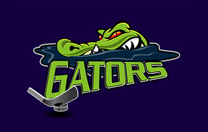 Hockey Jersey Design / Team Logo Hockey Jersey Design / Team Logo