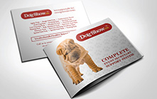 Event Software Brochure Booklet Design Event Software Brochure Booklet Design