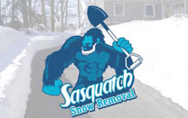 Snow Removal Logo Design