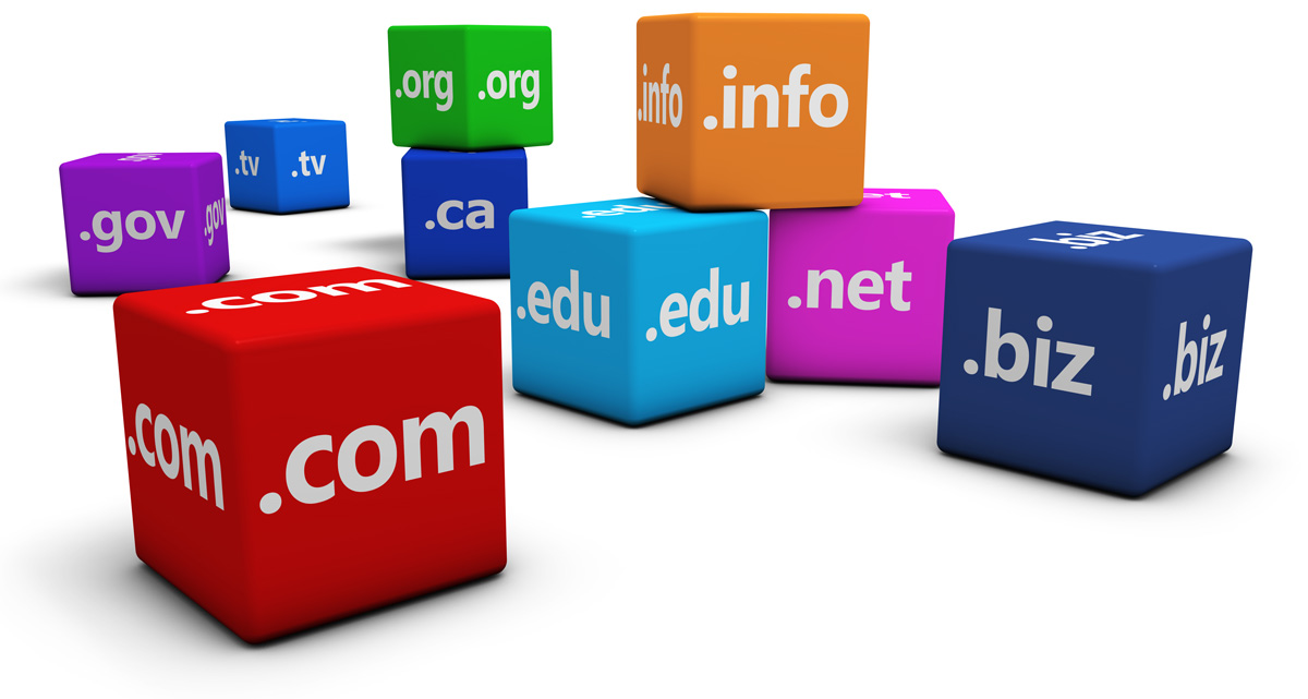 Domain Name TLD Choices Domain Name TLD Choices