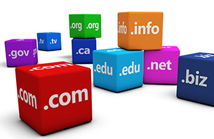 Domain Name TLD Choices